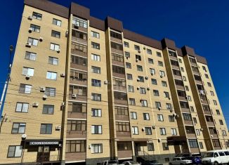 Продается помещение свободного назначения, 20.6 м2, Черкесск, Кавказская улица, 81