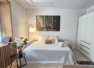 Квартира в аренду студия, 24 м2, Сыктывкар, Петрозаводская улица, 43