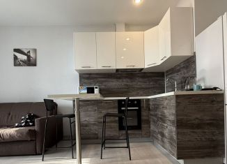 Сдается в аренду квартира студия, 30 м2, Санкт-Петербург, Ультрамариновая улица, 8, ЖК Пульс на Набережной