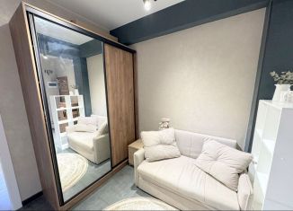 2-комнатная квартира на продажу, 47.8 м2, Сочи, Виноградная улица, 238Г, ЖК Виноград