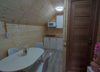 Сдам в аренду дом, 33 м2, село Иогач, Молодёжная улица, 21