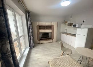 Квартира в аренду студия, 27 м2, Курган, улица Рихарда Зорге, 7