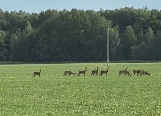 Продам земельный участок, 13 сот., деревня Байрак