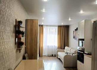 Продажа квартиры студии, 24.2 м2, Ломоносов, Михайловская улица, 51