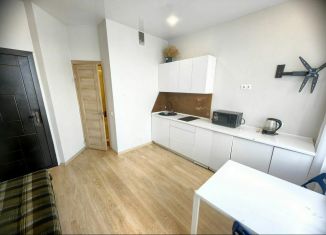 Аренда квартиры студии, 30 м2, Екатеринбург, улица Крестинского, 35, ЖК Октава