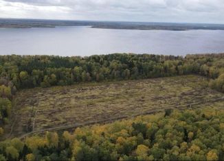 Продаю участок, 10.9 сот., Пушкино