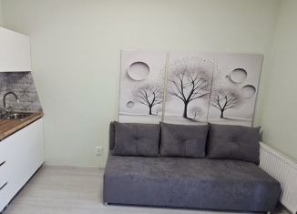 Сдаю квартиру студию, 19.8 м2, Екатеринбург, микрорайон Светлый, 10