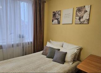Сдается квартира студия, 16 м2, Сестрорецк, улица Борисова, 8к1