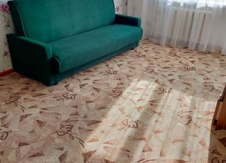 Аренда 2-комнатной квартиры, 54 м2, Карелия, улица Шотмана, 36А