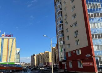 Сдается помещение свободного назначения, 43 м2, Саранск, Волгоградская улица, 73