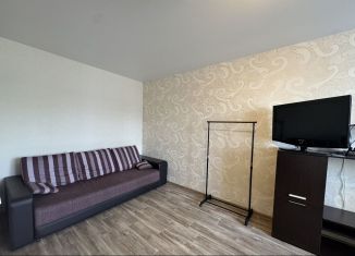 Сдаю 1-комнатную квартиру, 36 м2, Димитровград, улица Менделеева, 19