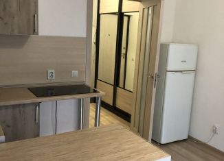 Сдается в аренду квартира студия, 23.5 м2, Мурино, Воронцовский бульвар, 14к1, ЖК Краски Лета