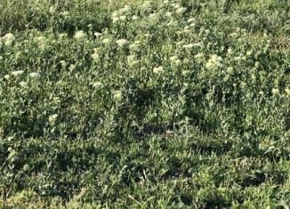 Земельный участок на продажу, 8 сот., село Султан-Янги-Юрт