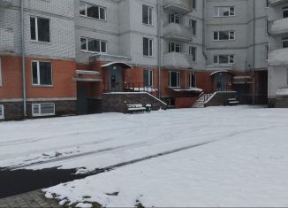Продам однокомнатную квартиру, 43 м2, Ленинградская область, улица Чекалова, 37