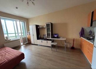 Сдаю в аренду квартиру студию, 25 м2, Мурино, улица Шувалова, 5, ЖК Гринландия