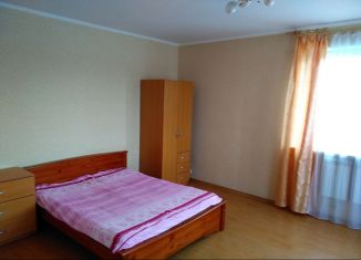 Сдается в аренду однокомнатная квартира, 46 м2, Лобня, улица Борисова, 14к1