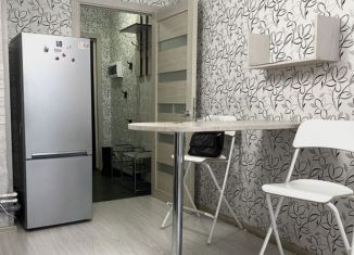 Сдам в аренду квартиру студию, 21 м2, Мурино, Воронцовский бульвар, 17, ЖК Алфавит