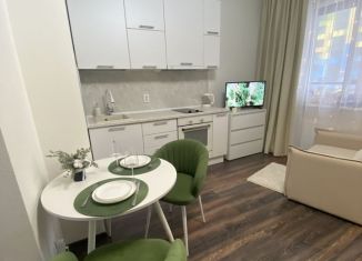 Продам квартиру студию, 25.8 м2, Санкт-Петербург, Среднерогатская улица, 16к4, ЖК Фо Ю