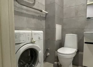 Сдаю в аренду квартиру студию, 25 м2, Мурино, Екатерининская улица, 8к1, ЖК Три кита