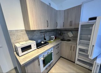 Квартира на продажу студия, 24.6 м2, Мурино, Воронцовский бульвар, 22, ЖК Гринландия-2