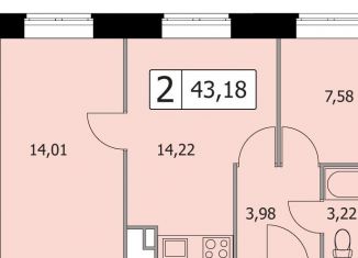 Продается 2-комнатная квартира, 43.2 м2, сельский посёлок Новинки, 2-я Дорожная улица, 2