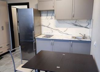 Сдам квартиру студию, 24 м2, поселок Бугры, улица Шекспира, 7, ЖК Энфилд