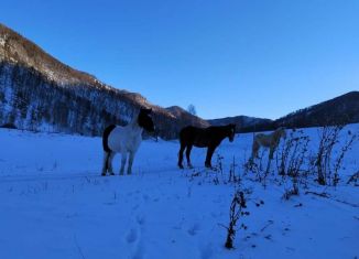 Продаю земельный участок, 2000 сот., посёлок Усть-Сема