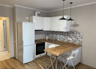 Сдаю в аренду квартиру студию, 30 м2, Люберцы, Инициативная улица, 7В, ЖК Облака