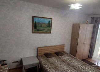Аренда 1-комнатной квартиры, 31 м2, Ставрополь, улица Гагарина, микрорайон № 22