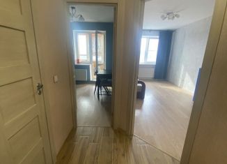 Сдается в аренду 1-ком. квартира, 38 м2, поселок Бугры, Тихая улица, 1, ЖК Новые Горизонты