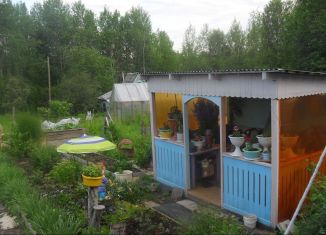 Дача на продажу, 29 м2, Березники, СНТ № 49, 135