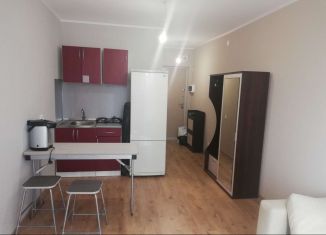 Продажа квартиры студии, 22.1 м2, посёлок Парголово, Толубеевский проезд, 8к2