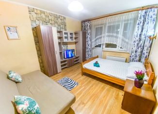 Сдаю в аренду однокомнатную квартиру, 38 м2, Лобня, улица Катюшки