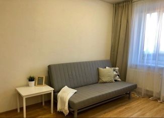 Продается квартира студия, 26 м2, деревня Малые Колпаны, микрорайон Речной, 3