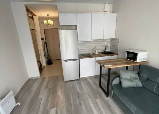 Продаю квартиру студию, 37 м2, посёлок городского типа Сириус, Голубая улица, 1К