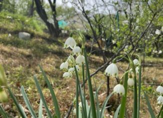 Продаю земельный участок, 7.5 сот., городской округ Сочи