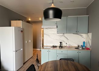 Квартира в аренду студия, 28 м2, Люберцы, Инициативная улица, 7В, ЖК Облака