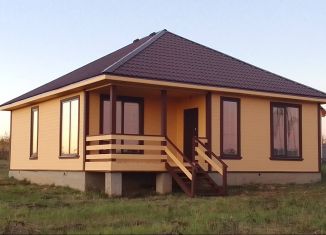 Продается дом, 110 м2, деревня Литвиново