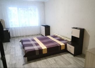 Сдача в аренду 2-ком. квартиры, 49 м2, Златоуст, улица Космонавтов, 5