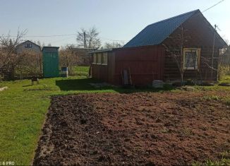 Продам дачу, 20 м2, Пыталово, Красноармейская улица