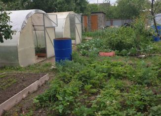 Продам дачу, 39 м2, Пенза, садовое дачное товарищество Луч-1, 37