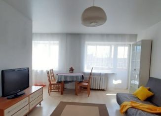 2-комнатная квартира в аренду, 44 м2, Екатеринбург, улица Красных Борцов, 5А, улица Красных Борцов