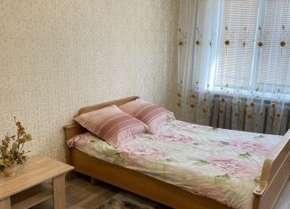 Аренда 1-комнатной квартиры, 30 м2, Нижегородская область, улица Мелиораторов, 3