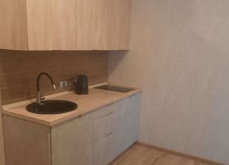 Продам квартиру студию, 27 м2, деревня Крёкшино, улица Медовая Долина, 4