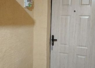 Продаю двухкомнатную квартиру, 42 м2, посёлок городского типа Новоозёрное, Центральная площадь