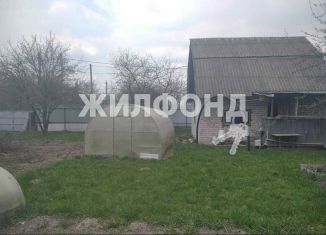 Продается дом, 30 м2, деревня Курнявцево, Сиреневая улица