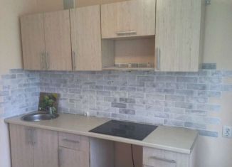 Двухкомнатная квартира на продажу, 42.4 м2, посёлок Берёзовый, улица Ивана Кулибина, 6, ЖК Прогресс