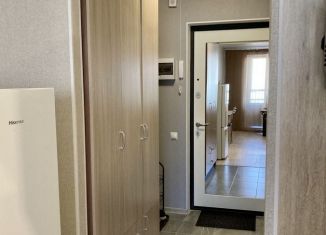 Квартира в аренду студия, 26.4 м2, Мурино, Екатерининская улица, 10, ЖК Три кита