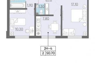 Продается 2-комнатная квартира, 49.3 м2, Санкт-Петербург, метро Озерки