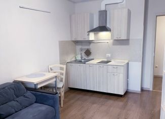 Сдается в аренду квартира студия, 25 м2, Санкт-Петербург, улица Крыленко, 1к1с6, ЖК О'Юность